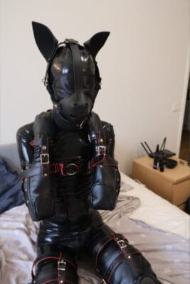 AlexiTheFemboyPuppy Trans OnlyFans - @alexithefemboypuppy