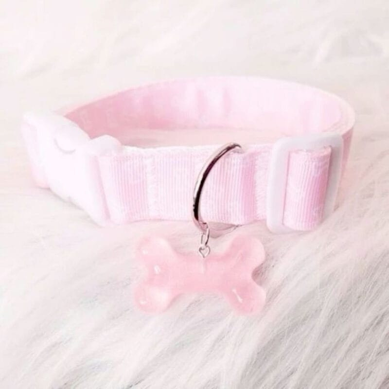 Alex Trans OnlyFans - @bimbopuppy