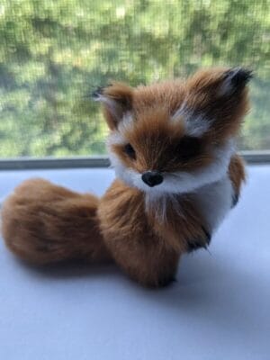 FoxyFoxy Trans OnlyFans - @foxyfoxyad