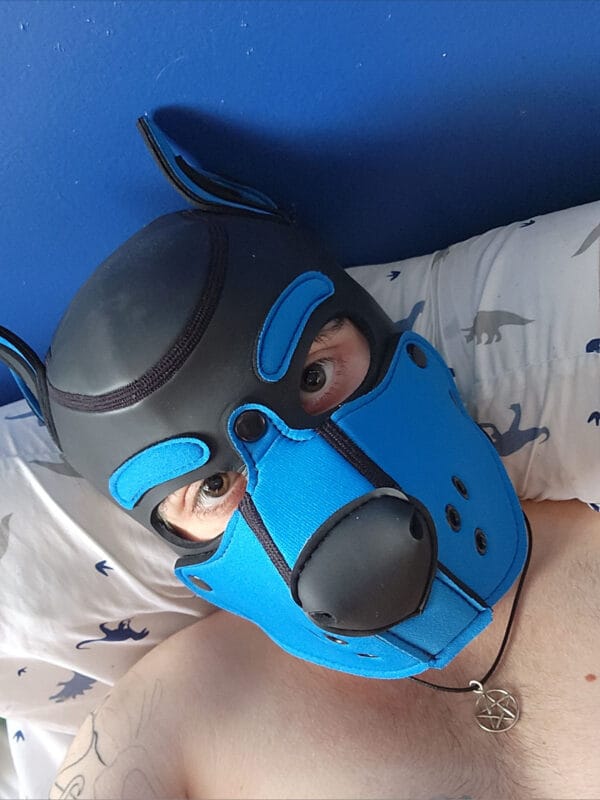 Pup Daze Trans OnlyFans - @ftm_pup_