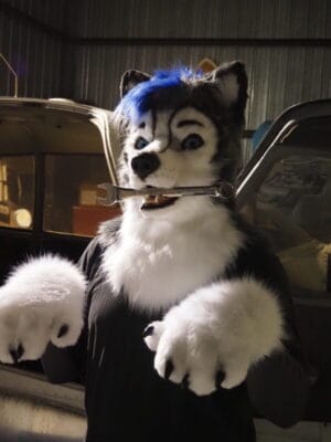 Gravitystorm Trans OnlyFans - @gravitystormhusky