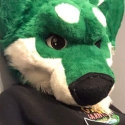 HuskyHuskyHarlot Trans OnlyFans - @harlthehusky