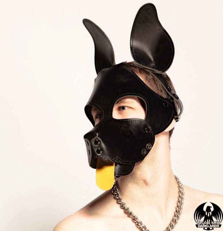 Pup Davey Trans OnlyFans - @puppydavey