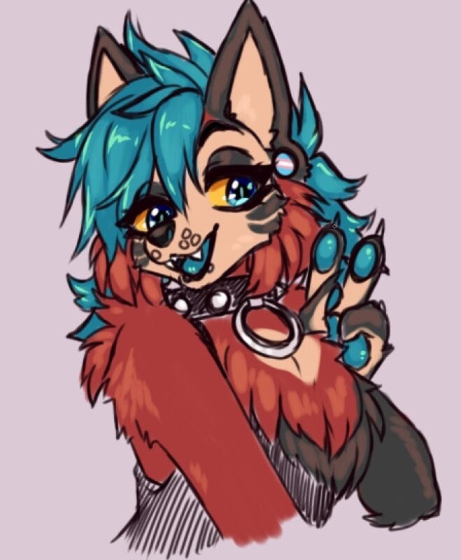 KazimirTheWolfOwO Trans OnlyFans - @theassetsofkazi