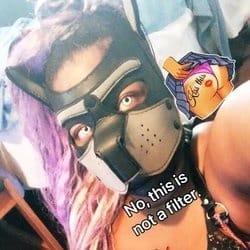 PupQueen Trans OnlyFans - @thepupqueen